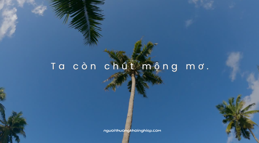 ta còn chút mộng mơ