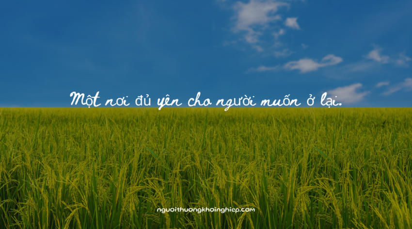Một nơi đủ yên cho người muốn ở lại.