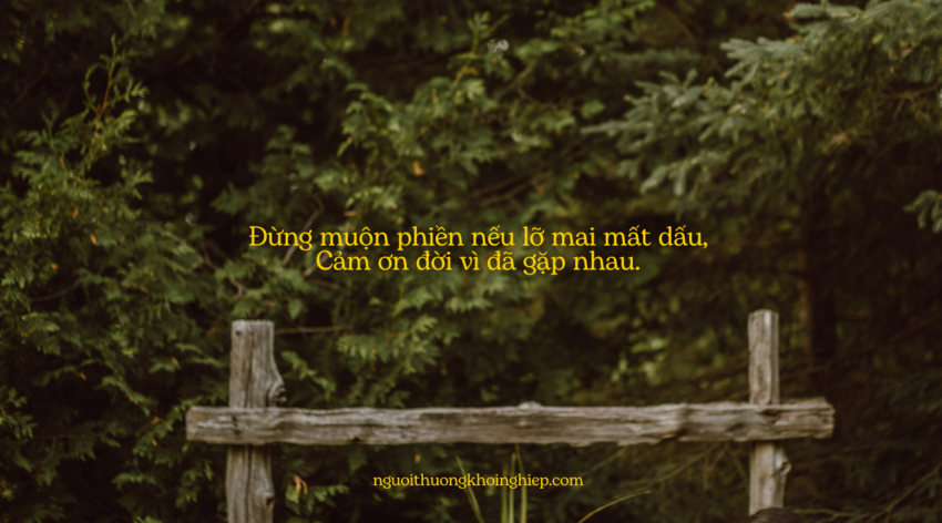 lỡ mai mất dấu